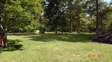 The spacious lot offers mature shade trees and plenty of space for play or gardening. 