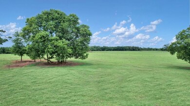 2700 Silo Rd, Edison, GA 39846 - photo 5