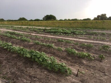 0 3rd Rd unit 218054543, Labelle, FL 33935 - photo 3