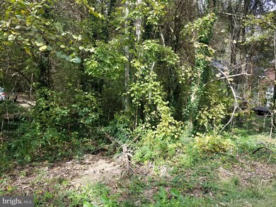 307 Harrison Cir, Locust Grove, VA 22508 - photo 2