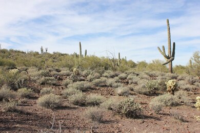 standing on lot looking west at cactus