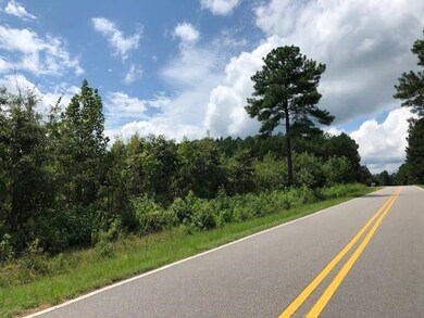 18.89 Ac. Brewer Rd, Louisburg, NC 27549 - photo 2