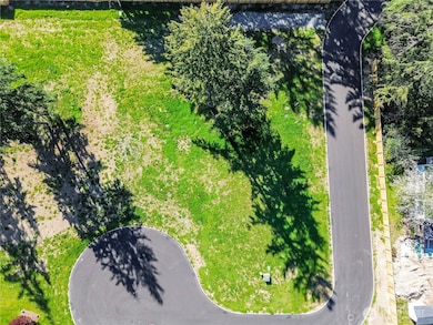 19610 95th Avenue Ct E, Graham, WA 98338 - photo 4