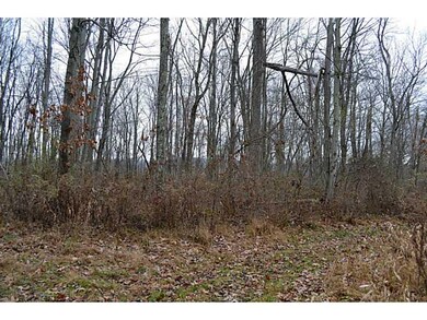 Land. Beautiful wooded acreage.