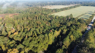 0 Highway 81, Notasulga, AL 36866 - photo 4