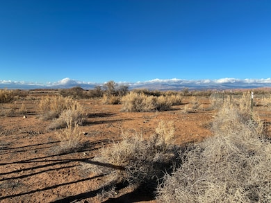 9813 4000 N, Lapoint, UT 84039 - photo 4