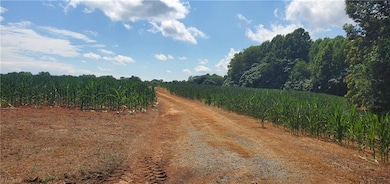 429 Harbour Ln, Dobson, NC 27017 - photo 7