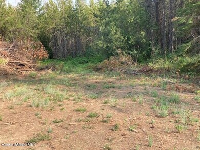 29224 N Old Highway 95, Athol, ID 83801 - photo 4