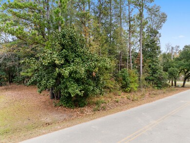 521 Hill St, Moncks Corner, SC 29461 - photo 4