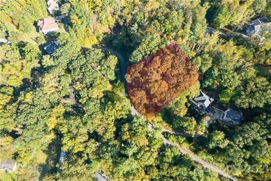 34 Forest Spring Dr unit 32, Asheville, NC 28804 - photo 2