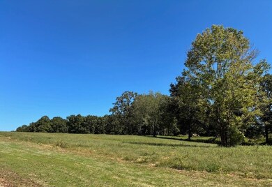 0 Hunziker Ln unit RTC2785104, Fairview, TN 37062 - photo 3