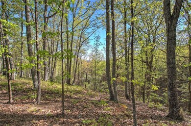 View of woods