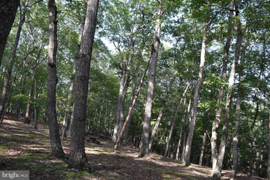 0 Pioneer Trail unit WVMO2003510, Great Cacapon, WV 25422 - photo 4
