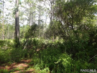 7970 W Delta Ct, Crystal River, FL 34429 - photo 3