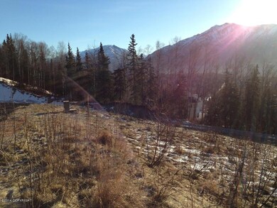 More Mountain Views