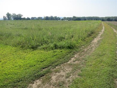 44 Honey Pot Rd, Hadley, MA 01035 - photo 5