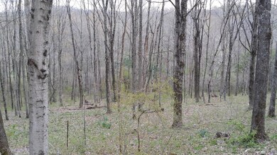 0 Fairview Ridge Rd, Creola, OH 45622 - photo 3