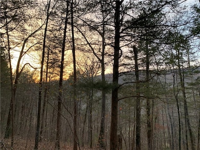 0 Nc 2922 unit 1317403, Marble Falls, AR 72648 - photo 4