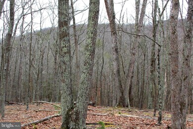 LOT 4 Helmick Rock-Trout Pass Rd, Mathias, WV 26812 - photo 7