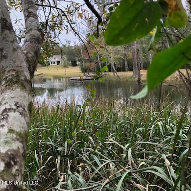 View into River