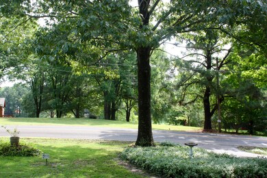 WOODED LOT