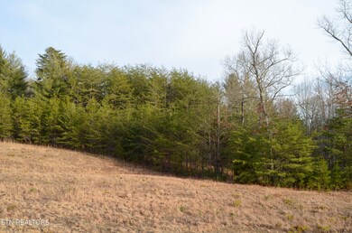 7-DSC_0255