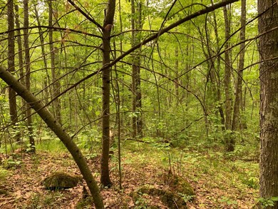 Lot 5 Somo Ridge Dr, Tomahawk, WI 54487 - photo 4