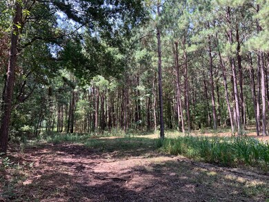 Tbd Redich (14 36) Rd, Eunice, LA 70535 - photo 2