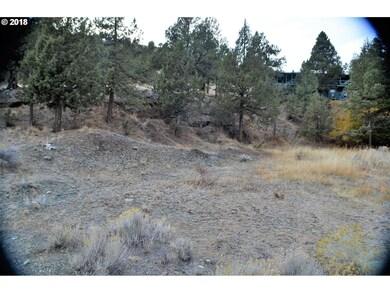 TL 1700 Adams Dr, Canyon City, OR 97820 - photo 5