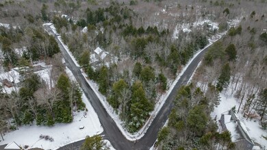 49 chickadee drone-3