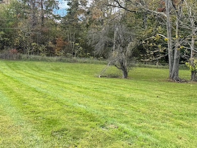 993 Meadow Bridge Rd, Meadow Bridge, WV 25976 - photo 5