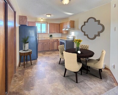 221 13th St N, Sauk Rapids, MN 56379 - photo 3