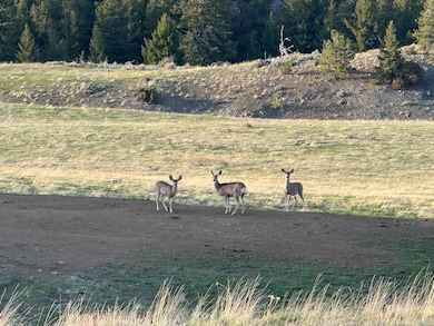 0 Tbd unit 11493126, Big Timber, MT 59011 - photo 5