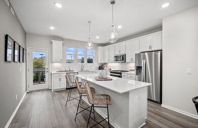 211 Steeple Bush Ln unit 10343, Schaumburg, IL 60193 - photo 2