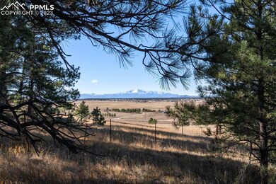 0 Hopper Rd unit 4878818, Peyton, CO 80831 - photo 7