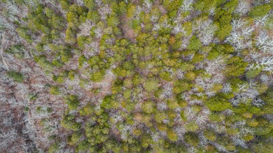 Monica - Walnut Shade Property - Drone 5