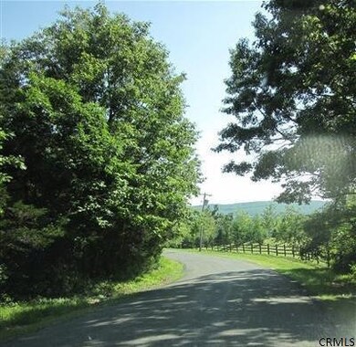 0 Post Hill Rd unit 201411258, Taghkanic, NY 12502 - photo 6