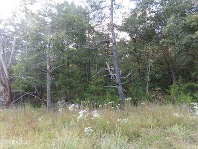 3020 Oswego Rd, Crossville, TN 38572 - photo 6