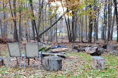 Fire pit in back rear of lot...your own little ret