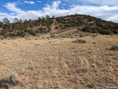 4389 Beekman Rd, Fort Garland, CO 81133 - photo 2