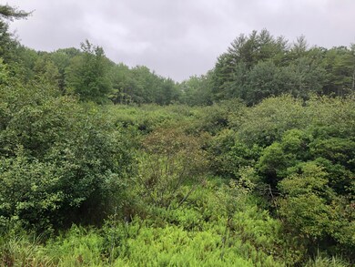 152 Logging Road