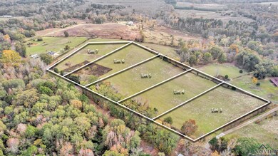 Aerial overview of property's location