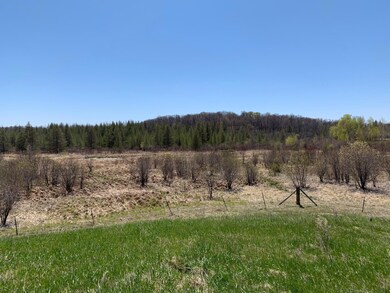 22455 Ginseng Rd, Long Prairie, MN 56347 - photo 3