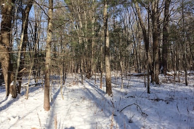 577 Schodack Landing Rd, Schodack Landing, NY 12156 - photo 6