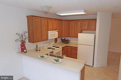 310 Willrich Cir unit F, Forest Hill, MD 21050 - photo 7