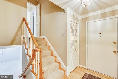 8104 Cindy Ln, Bethesda, MD 20817 - photo 3