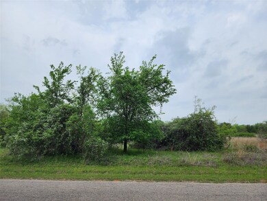 12084 Rolling Oaks Dr, Whitney, TX 76692 - photo 5