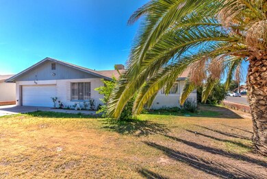 133 W Balboa Dr-3 (1)
