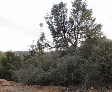Photo 07