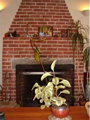 159 Maplewood Cir, Amherst, MA 01002 - photo 7